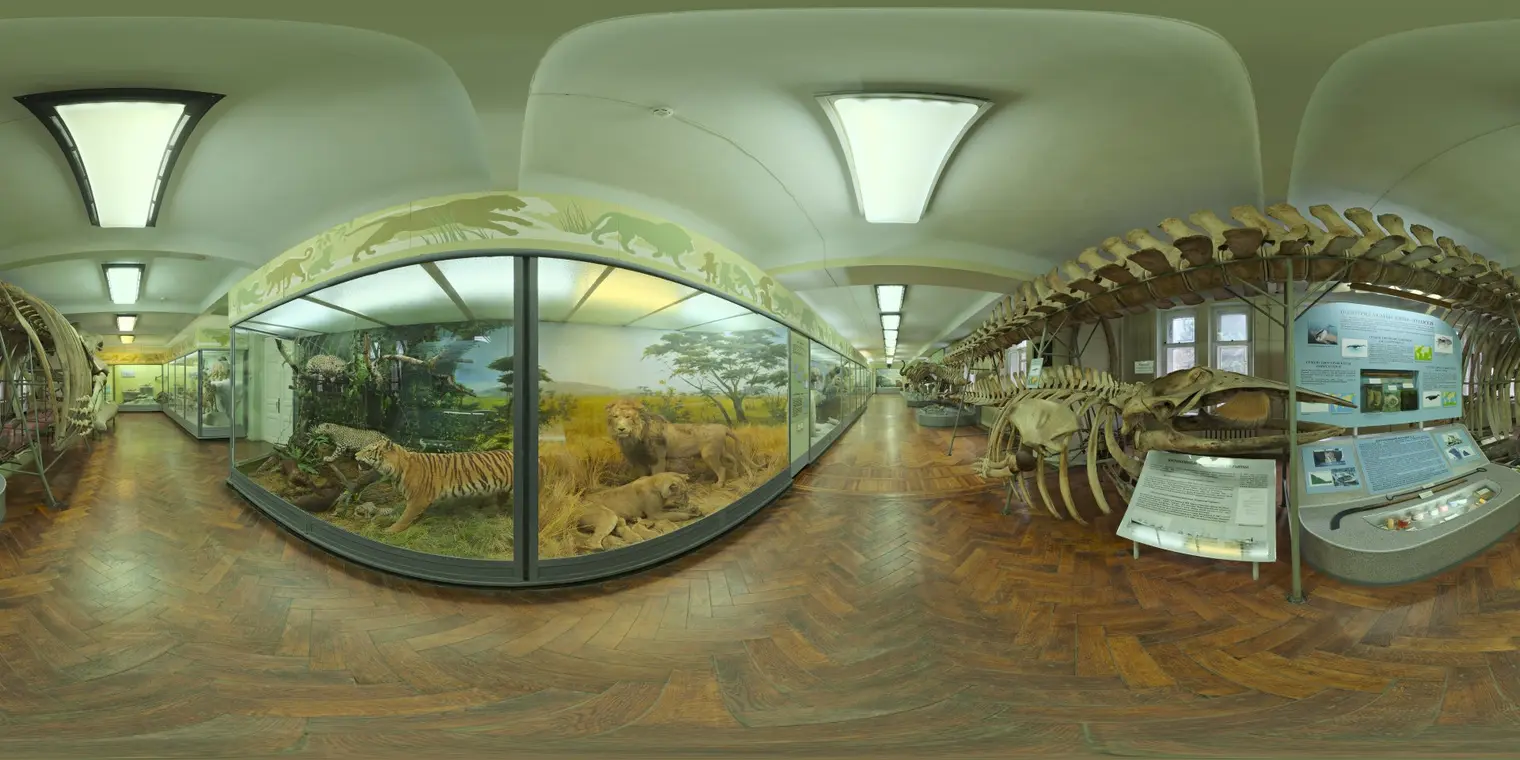 Hall Of Mammals
