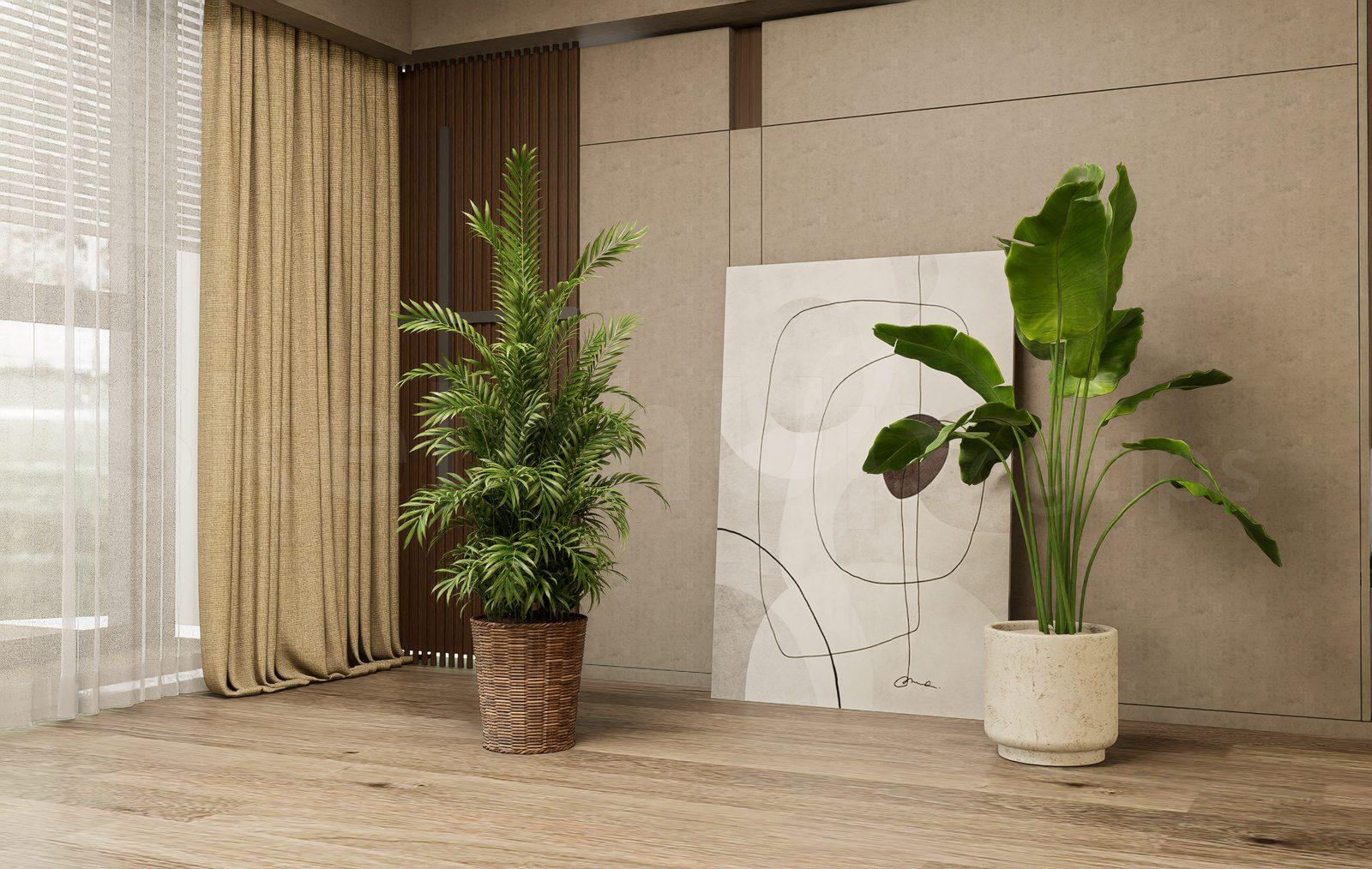 Plant