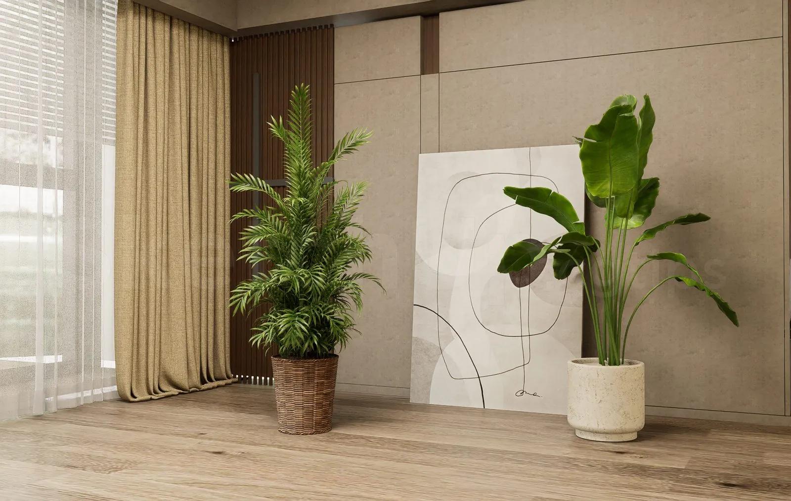 Plant