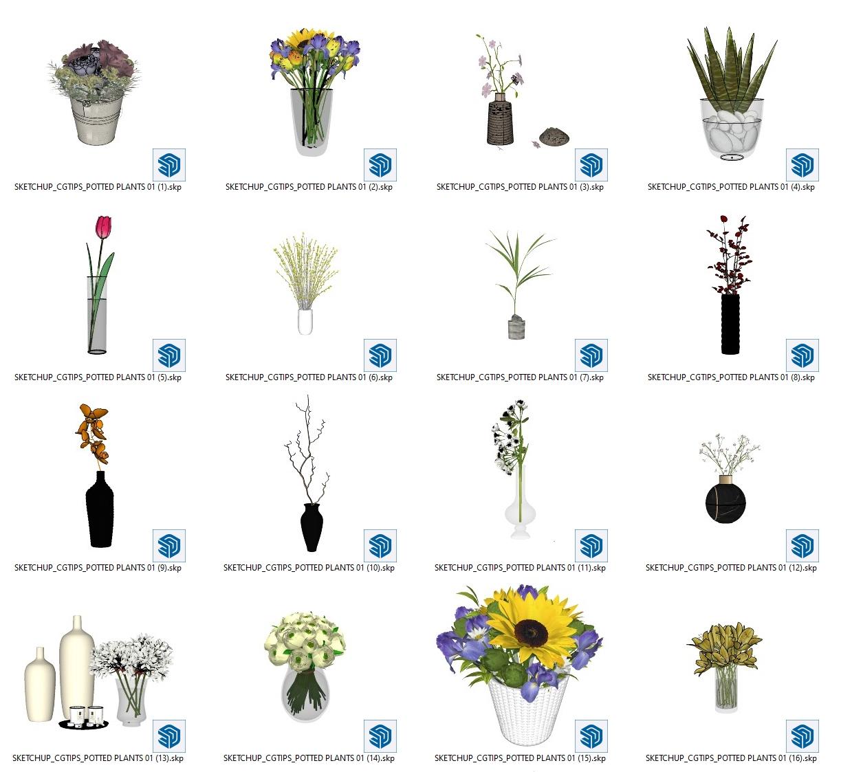 Potted Plants