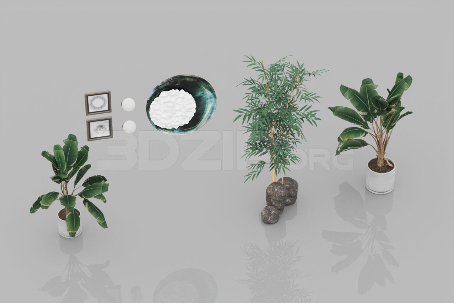 Plant