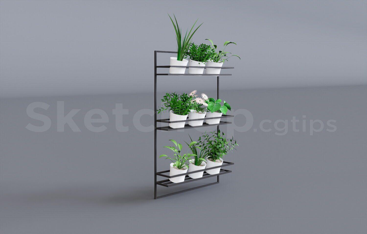 Plant