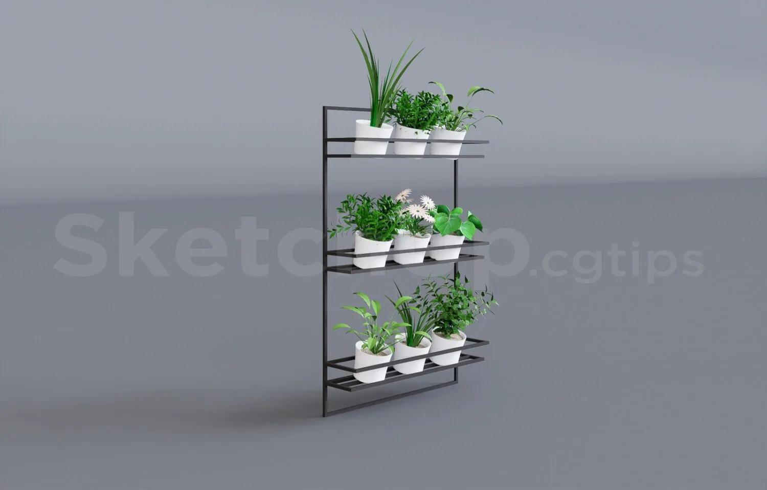 Plant