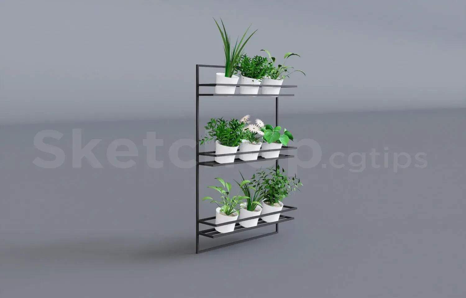 Plant