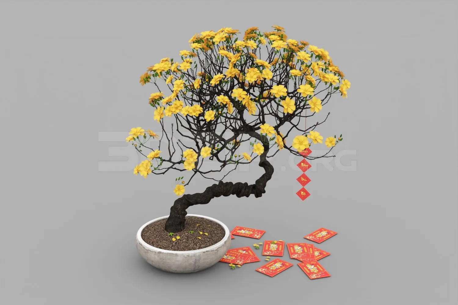 Plant