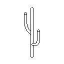 Saguaro Cactus