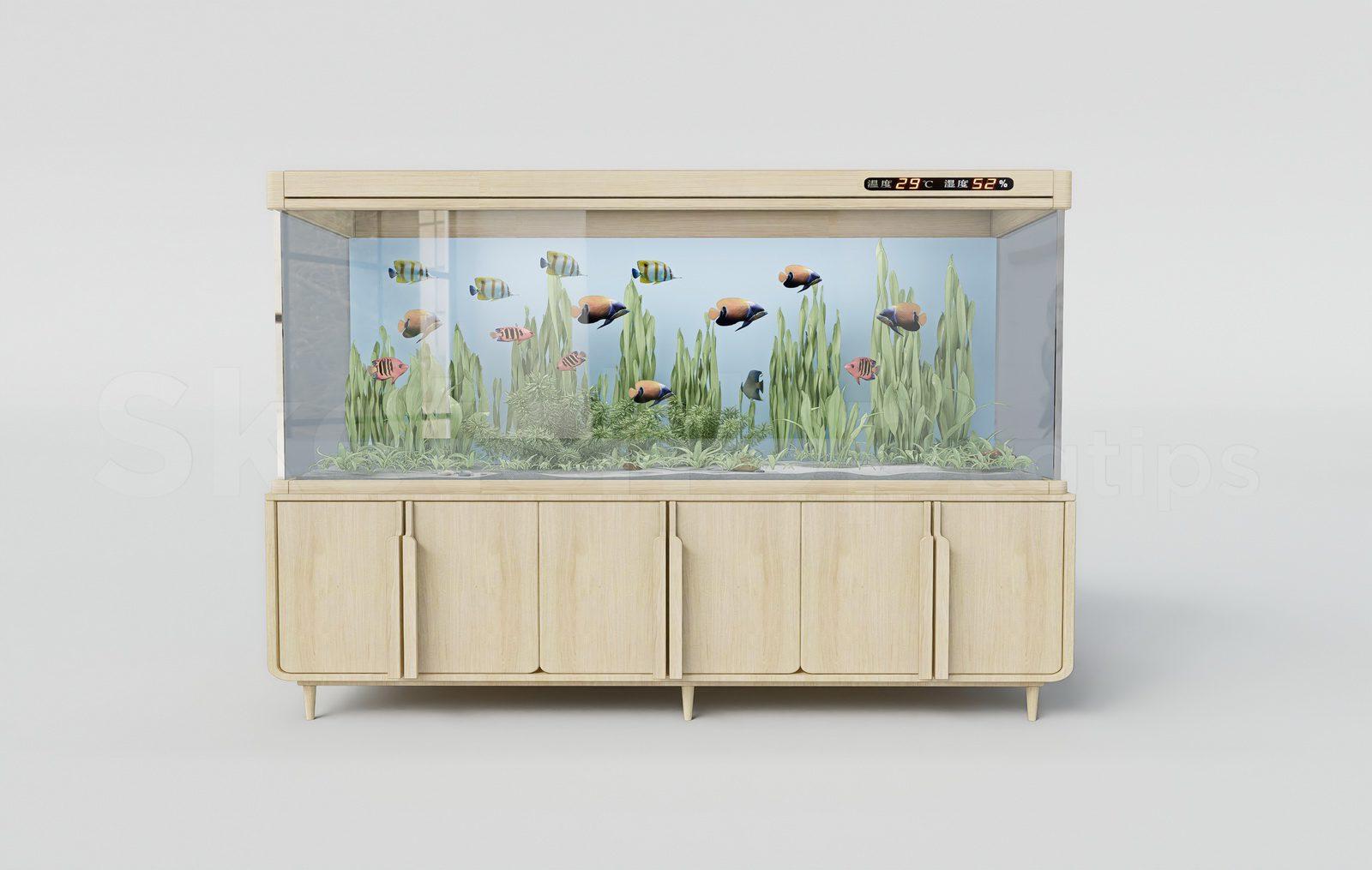 Aquarium Tank
