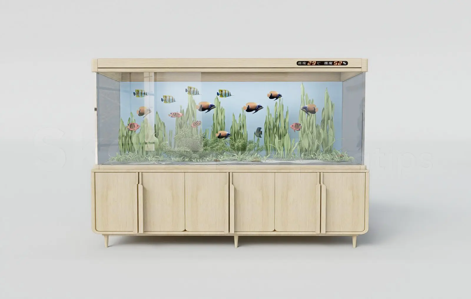 Aquarium Tank