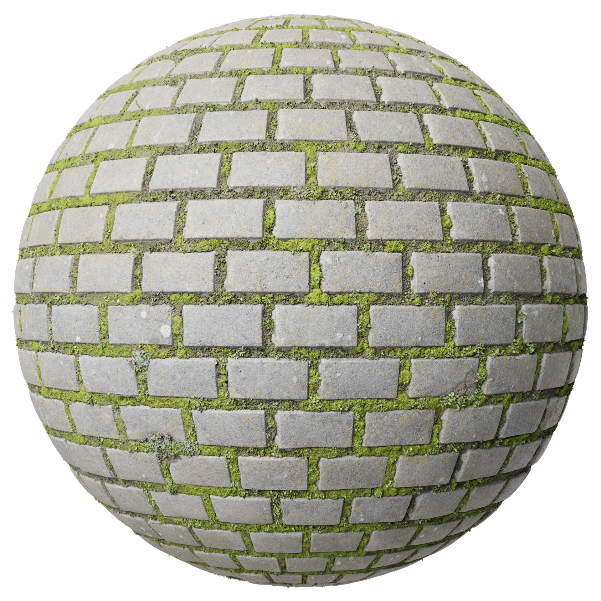 Paving Stones 036