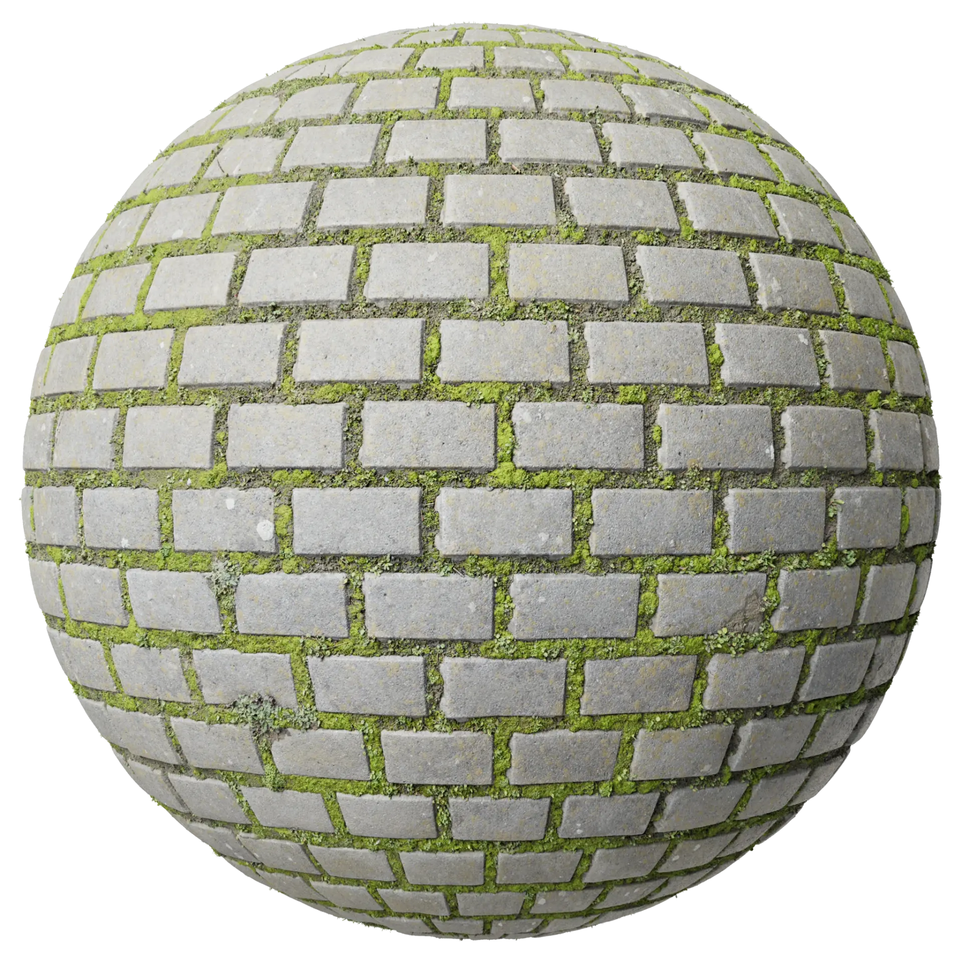 Paving Stones 036