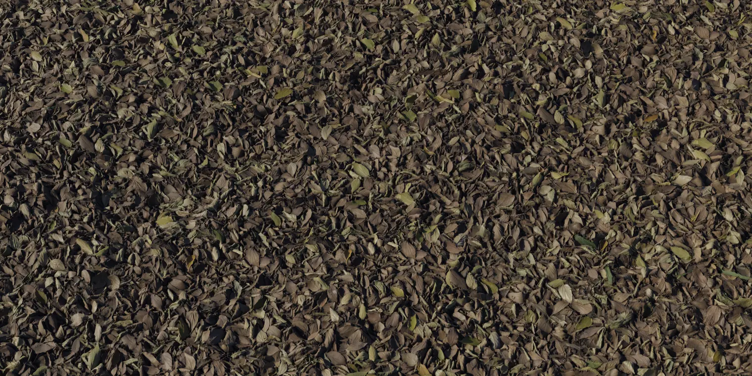Forest Leaves 3 — preview 1, by Dimitrios Savva, Rob Tuytel (Poly Haven, CC0)