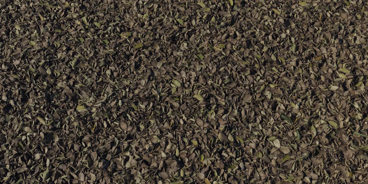 Forest Leaves 3