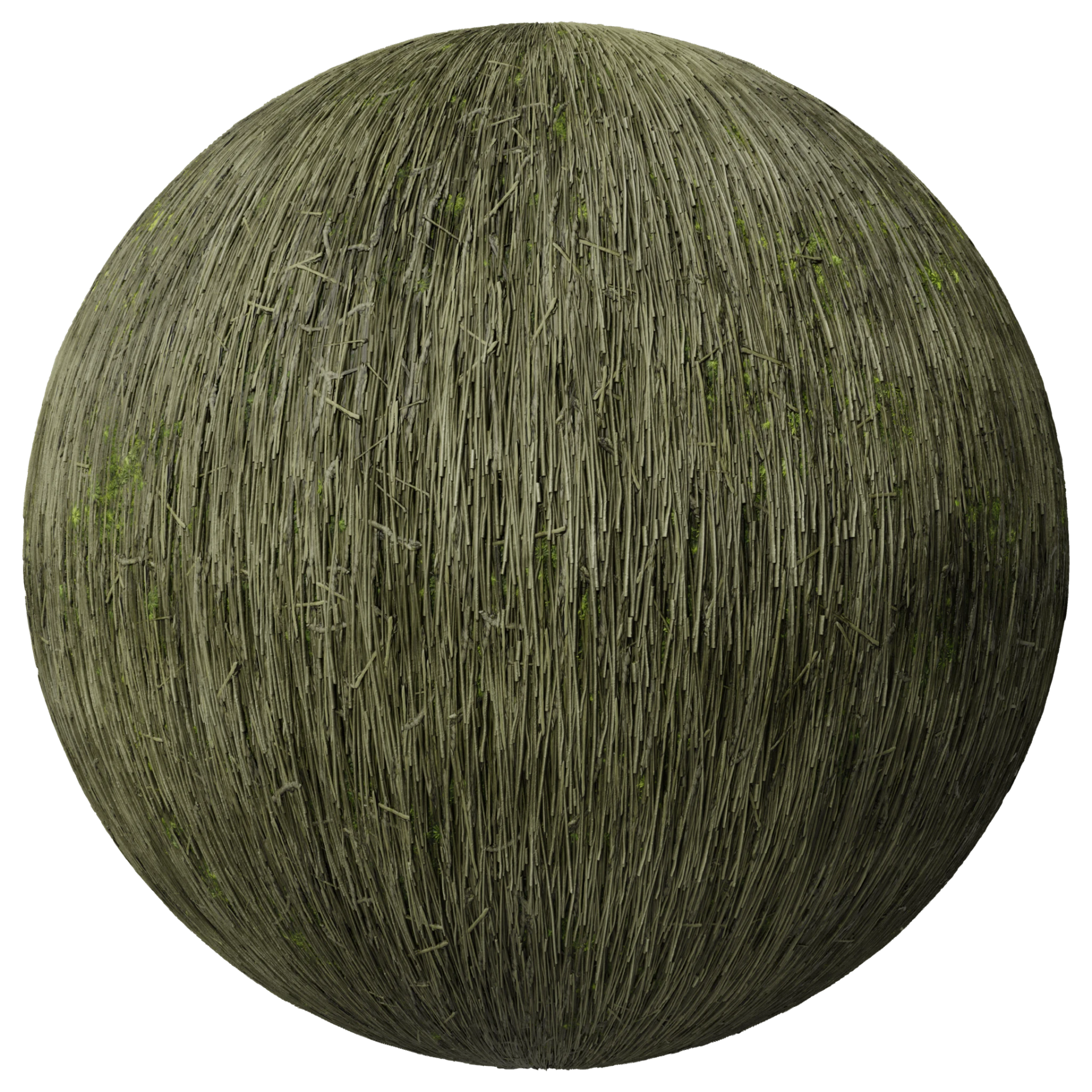 Thatched Roof 002 B