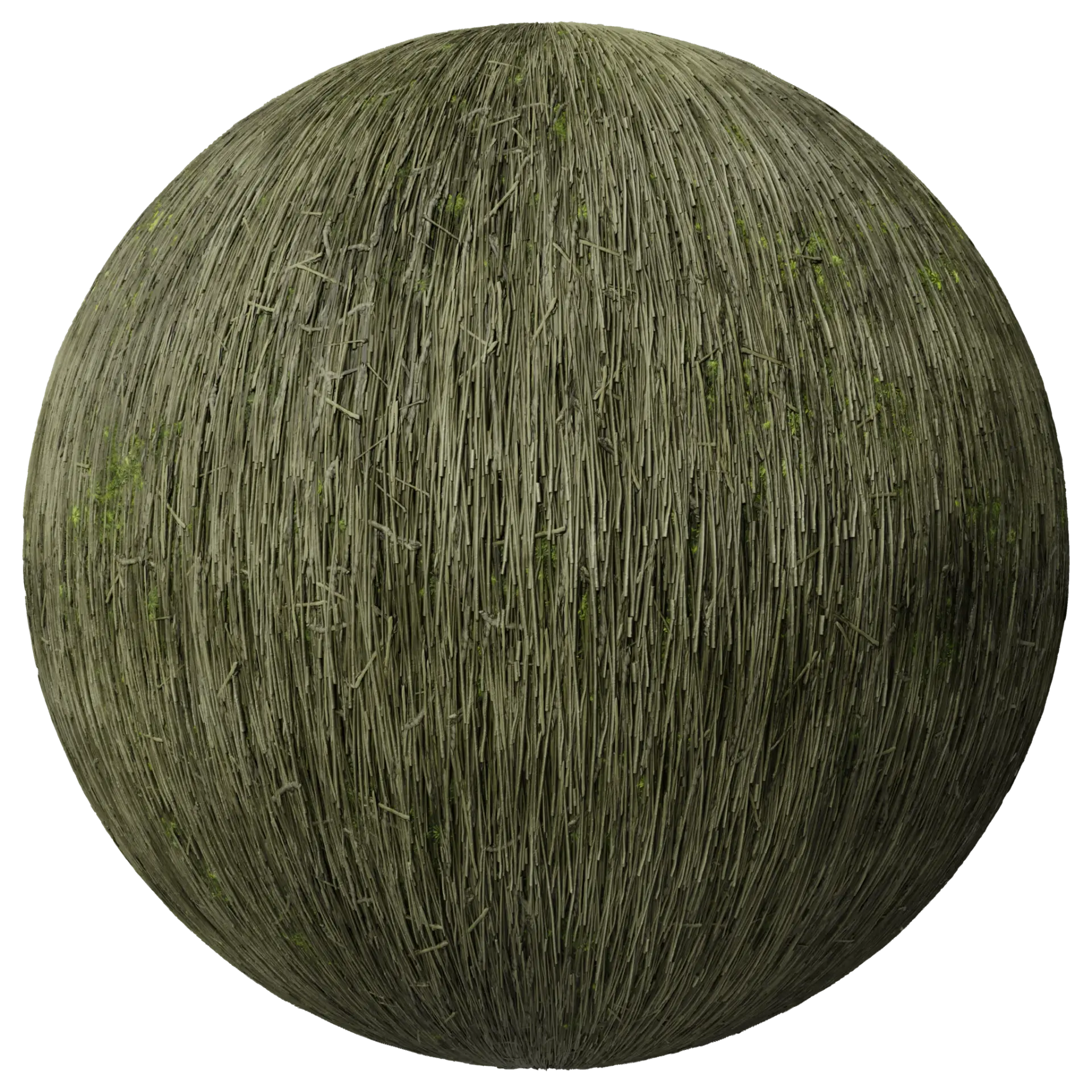 Thatched Roof 002 B