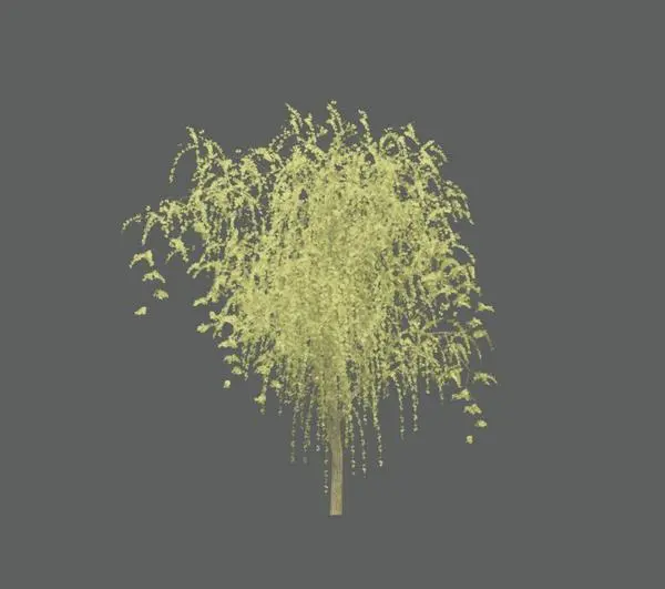 Tree_Deciduous