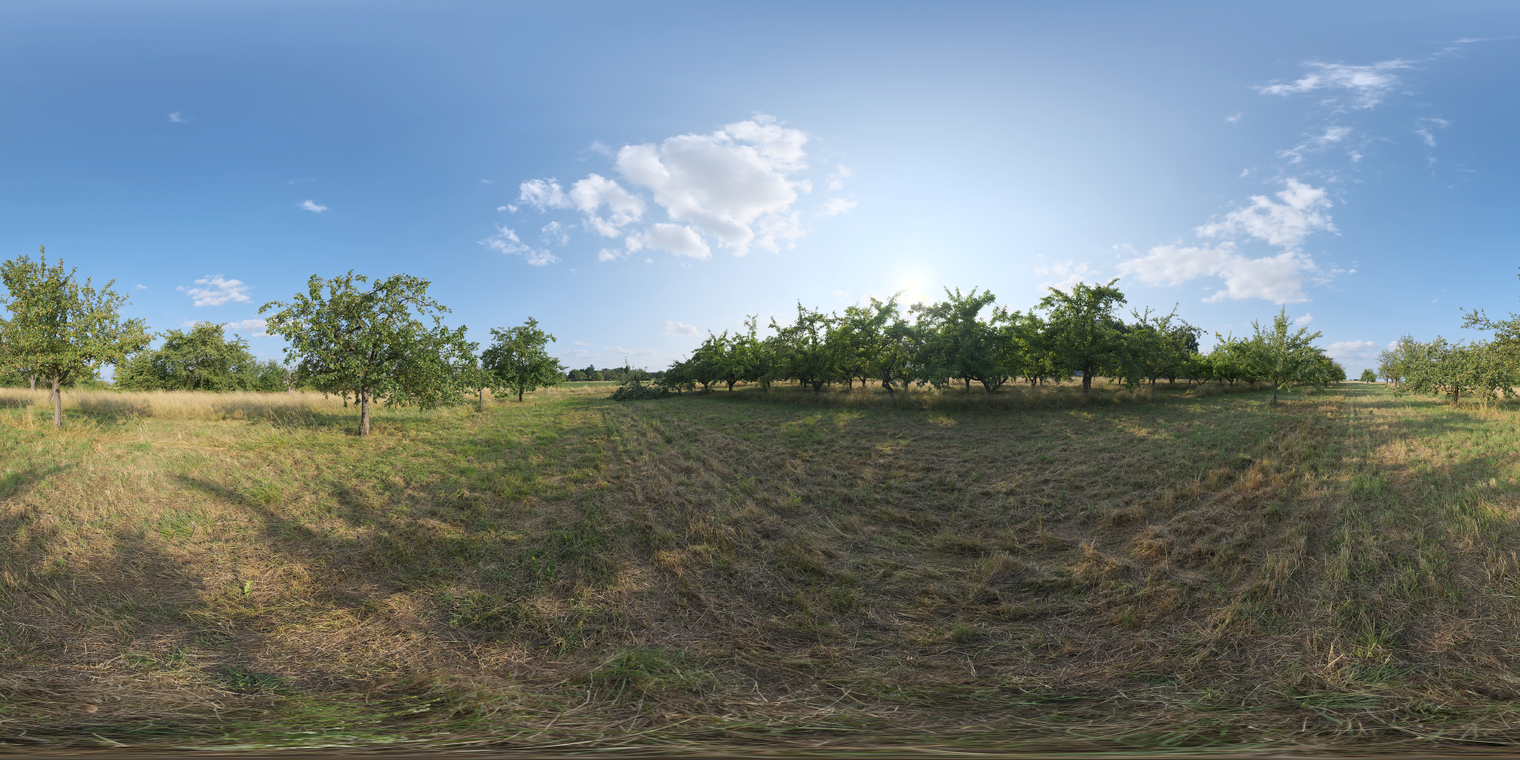 Dry Orchard Meadow
