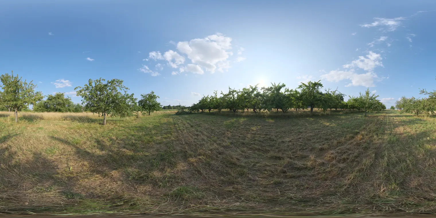 Dry Orchard Meadow