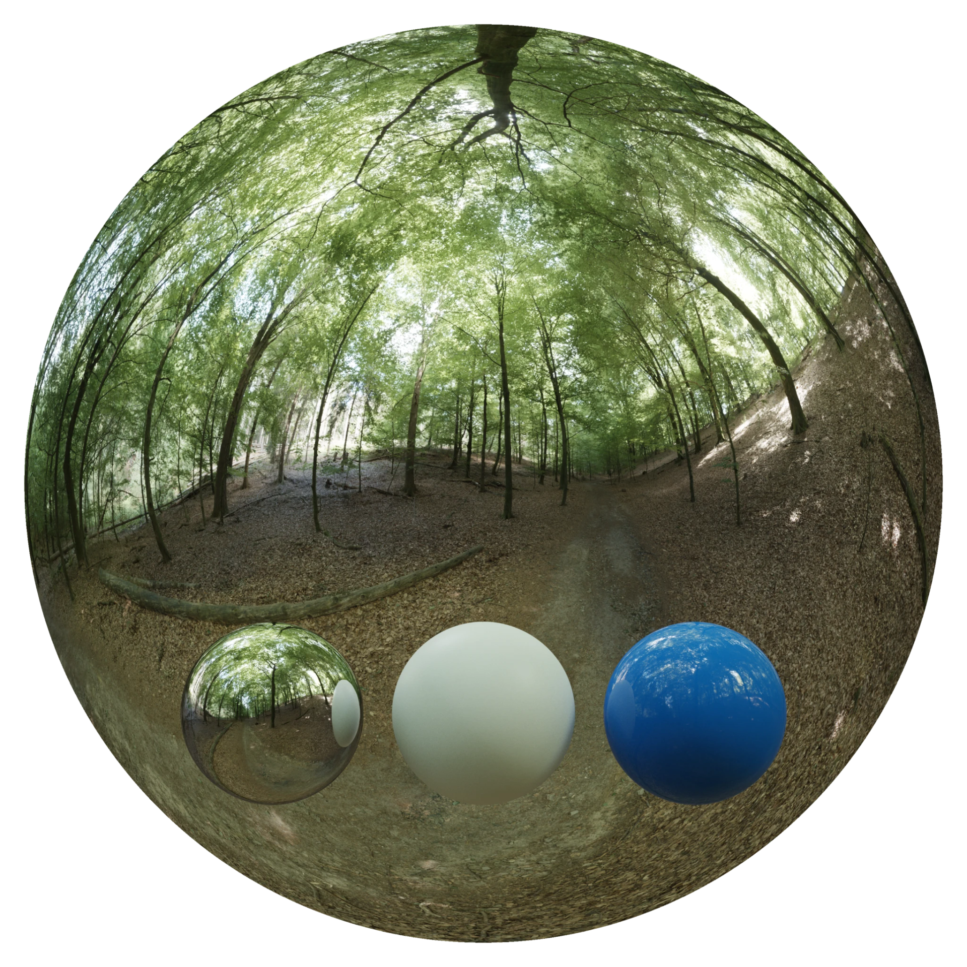 Day Environment HDRI 013
