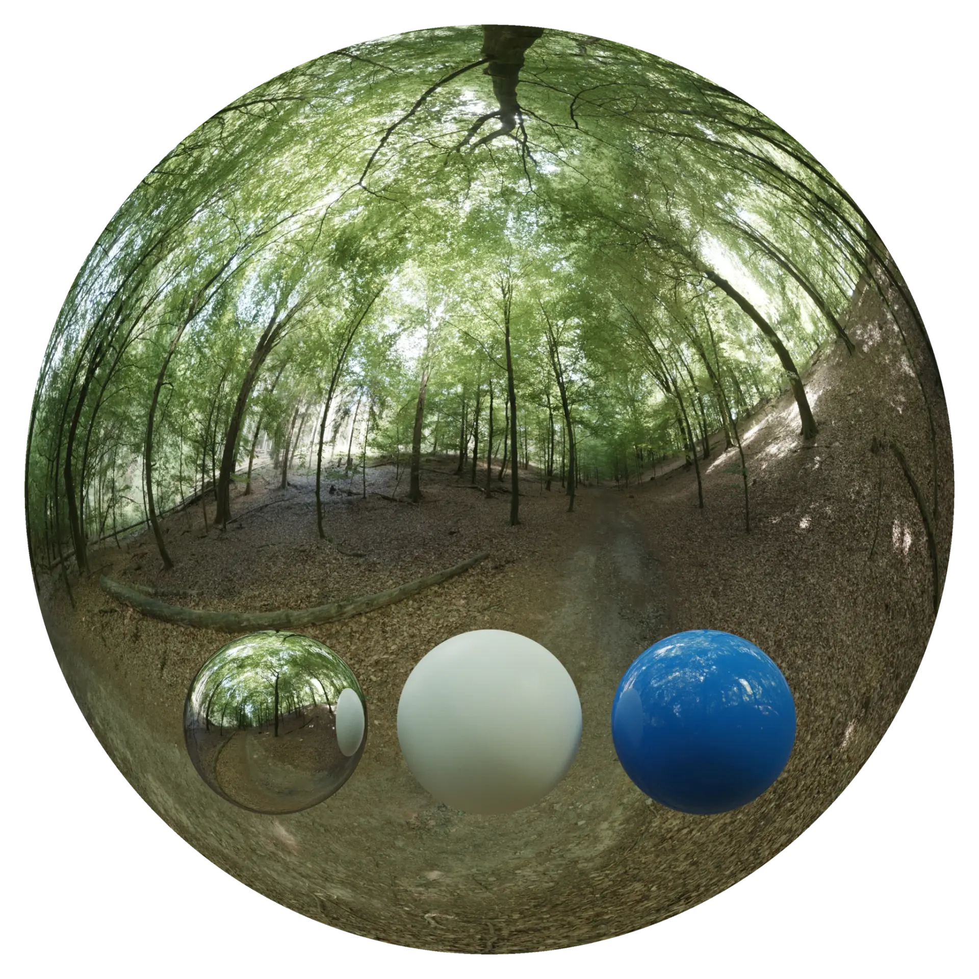 Day Environment HDRI 013 — preview 1 (ambientCG, CC0)