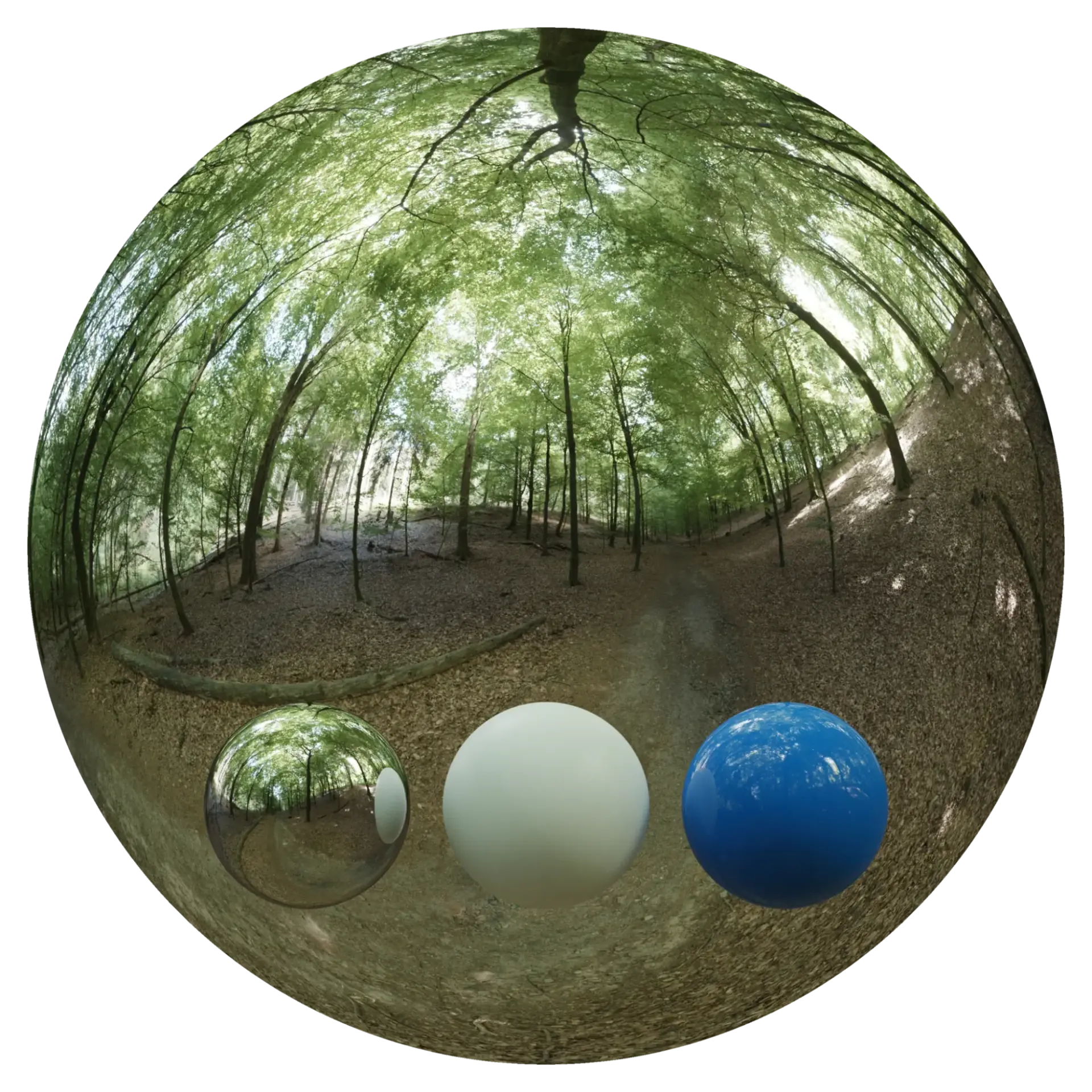 Day Environment HDRI 013