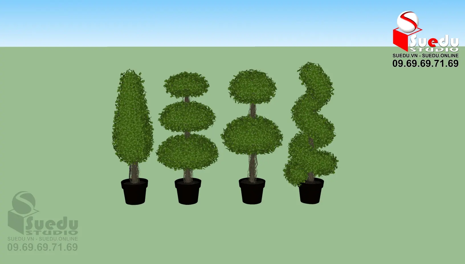 BonSai Tree — preview 1 (cgtips)