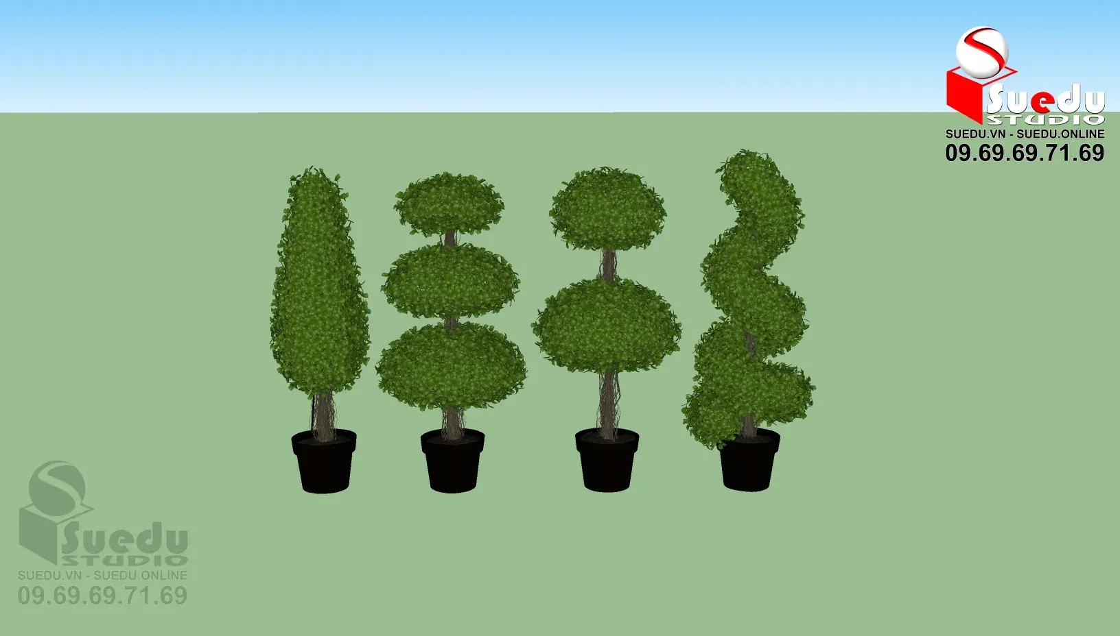 BonSai Tree