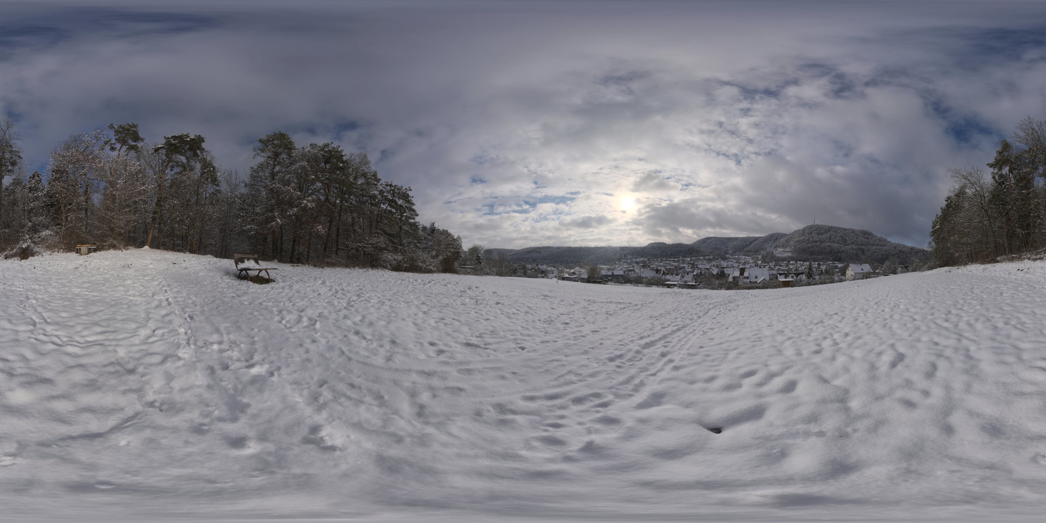 Snowy Hillside