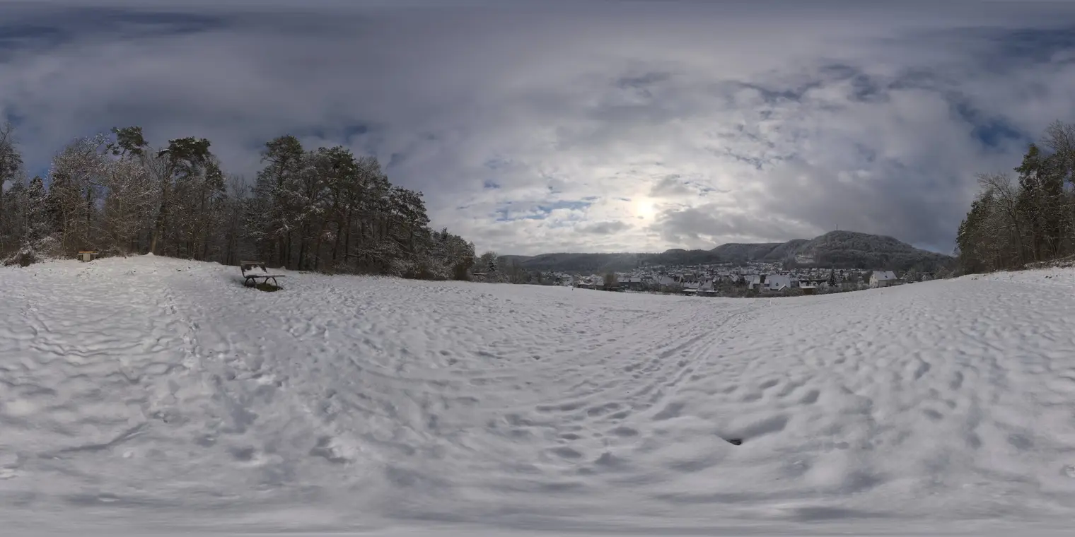 Snowy Hillside