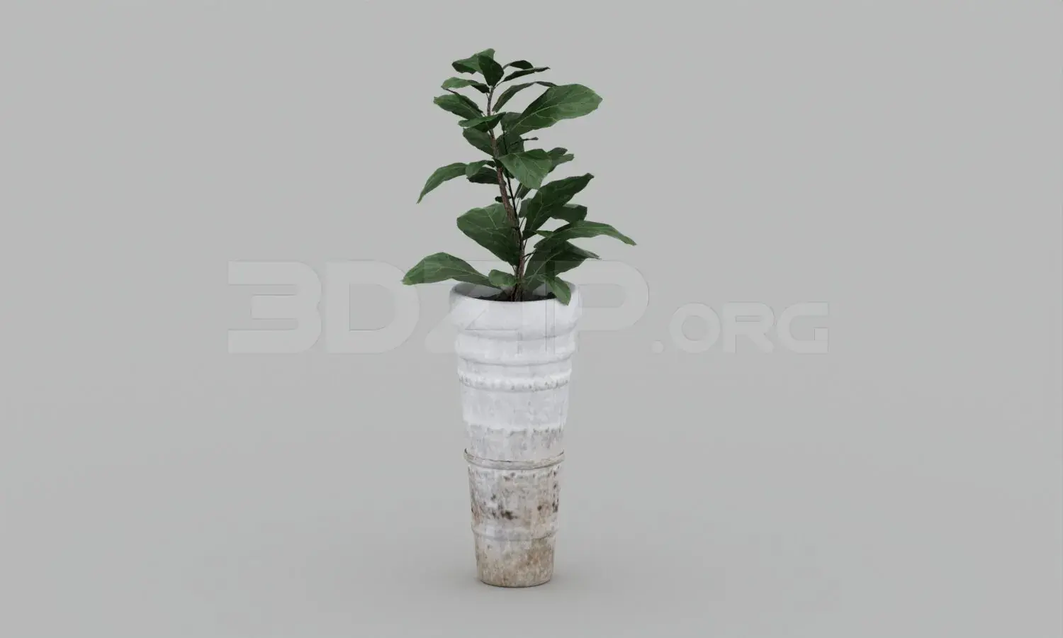 Plant