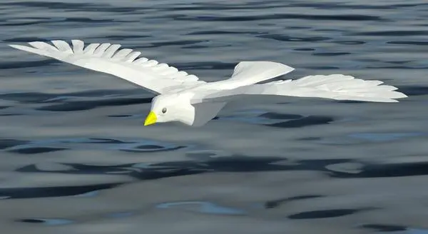 Bird