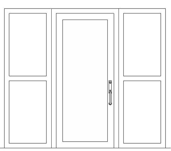 Door with windows