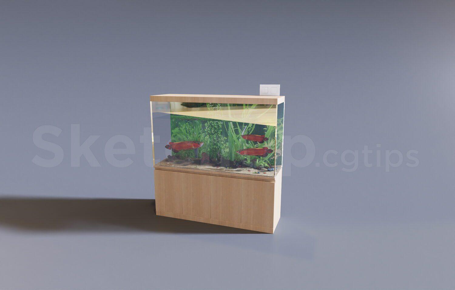 Aquarium Tank