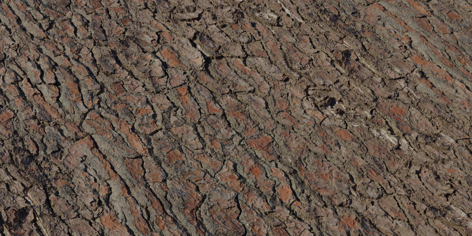 Pine Bark