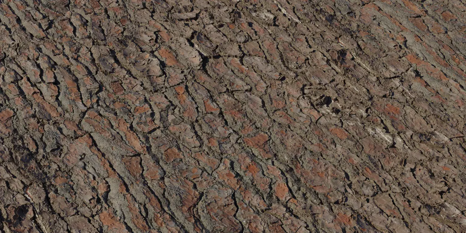 Pine Bark