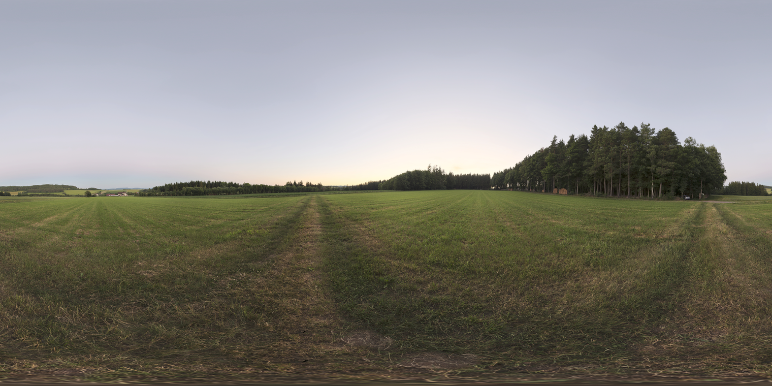 Steinbach Field