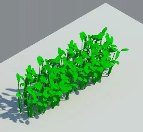 Planta Plant