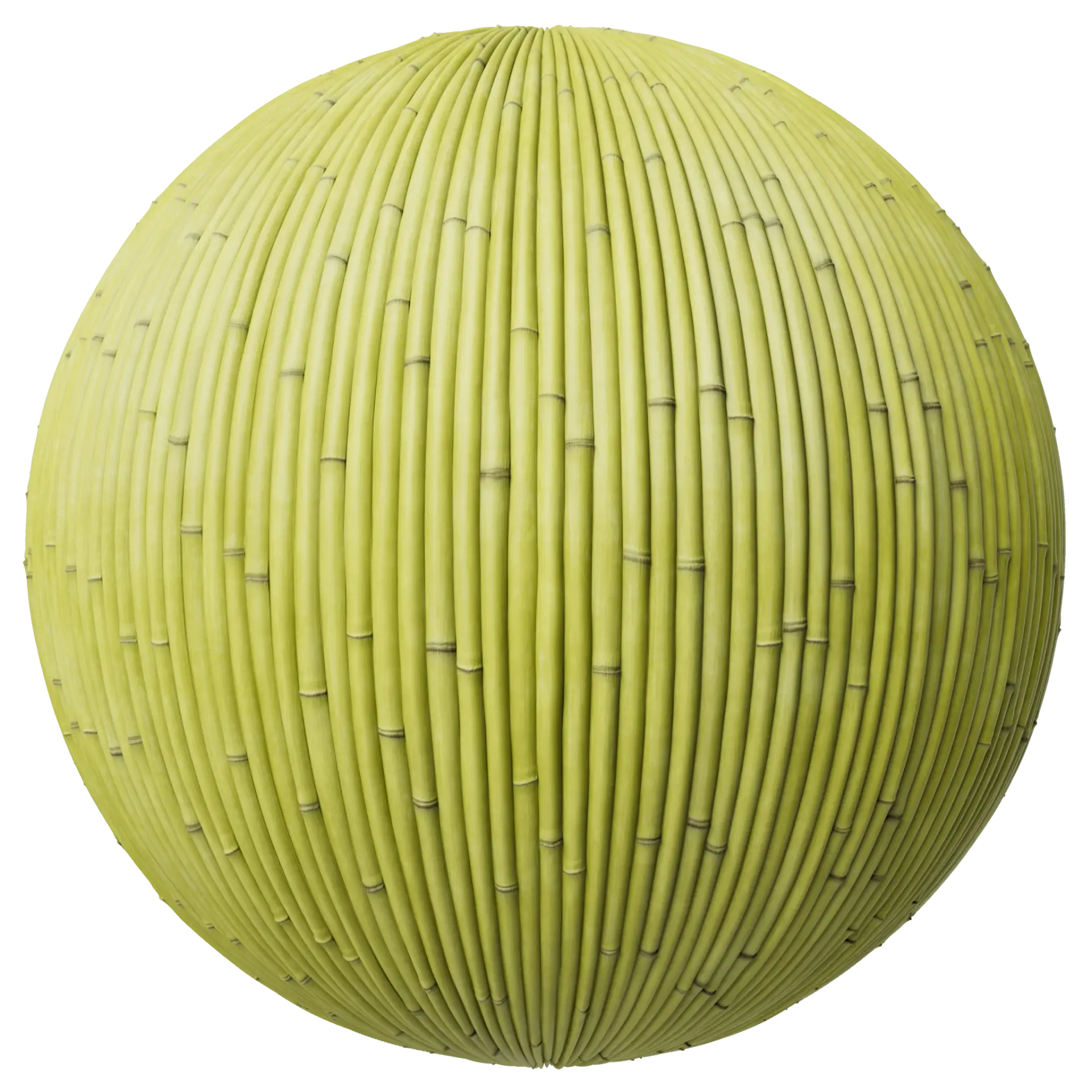 Bamboo 002 A