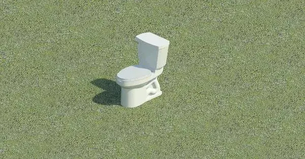 Standard Toilet