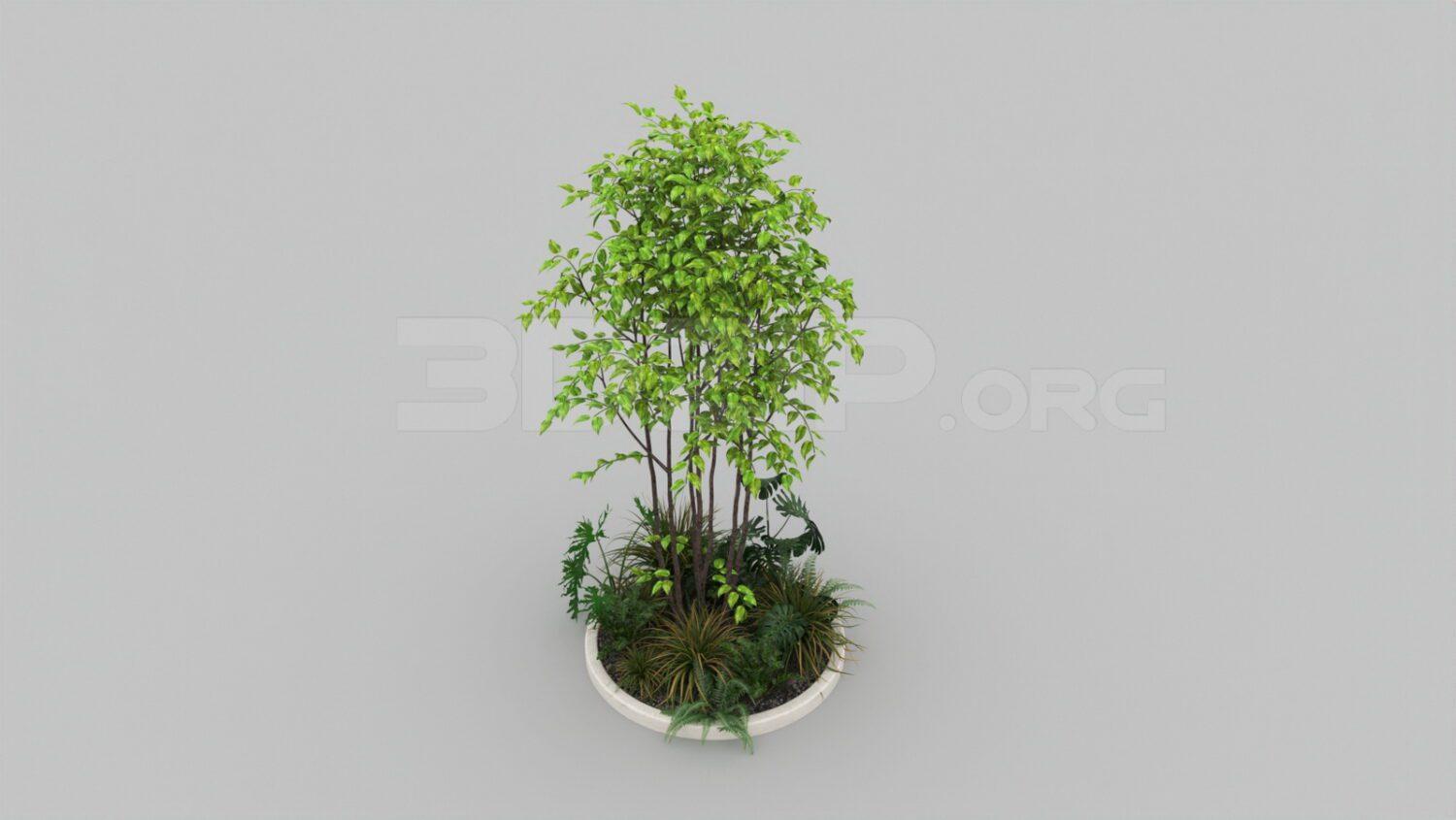 Tree