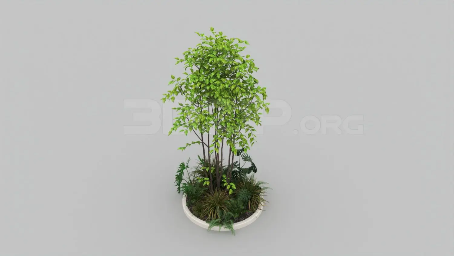 Tree — preview 1 (3dzip, CC0)