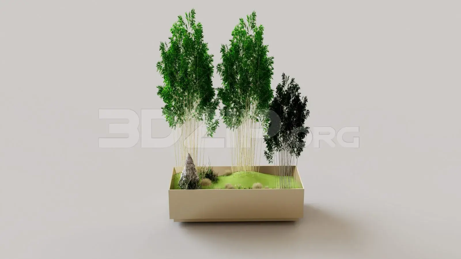Indoor Garden Landscape