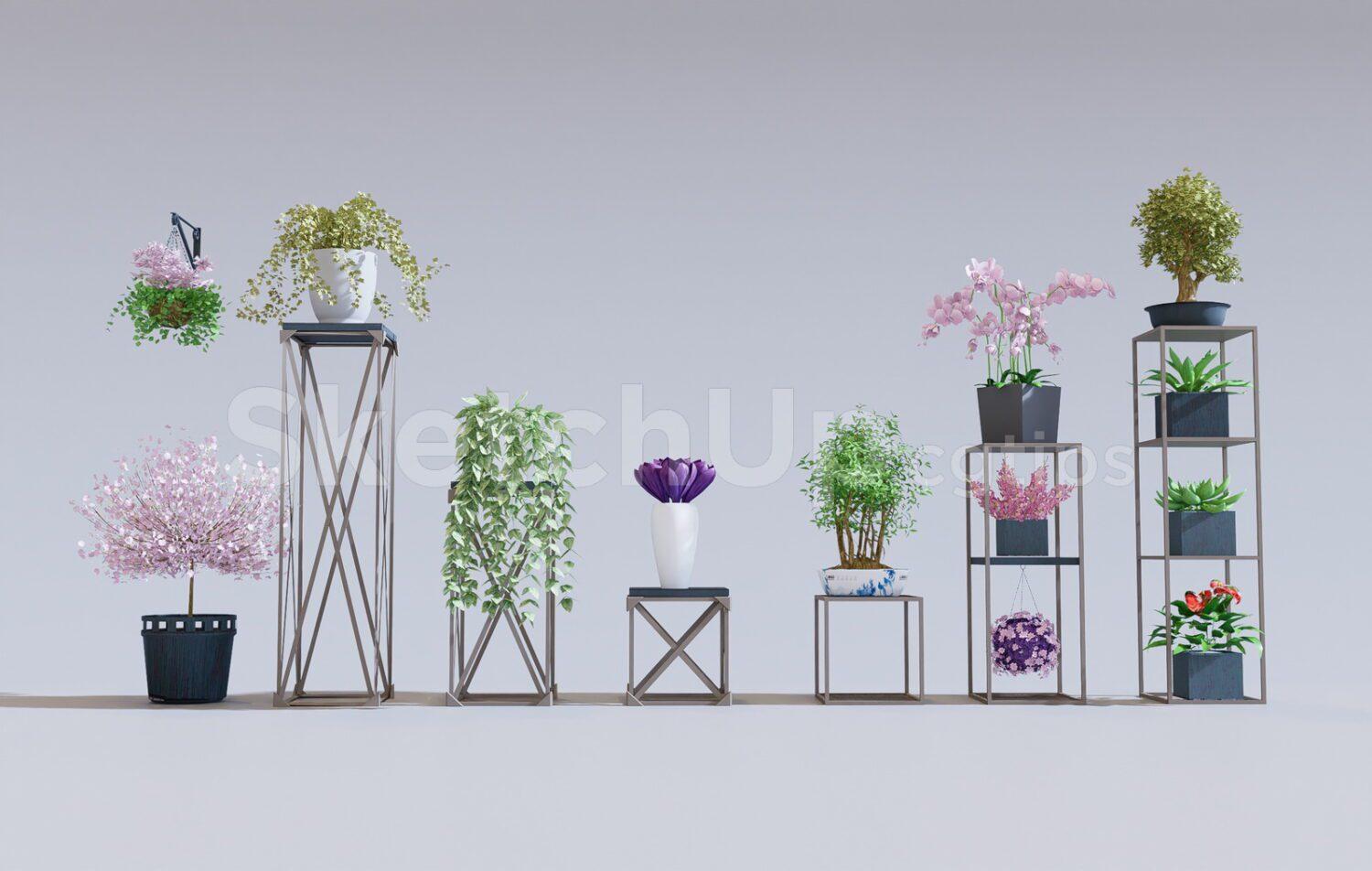 Plants