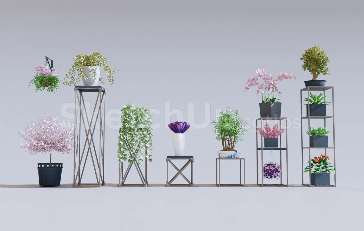 Plants