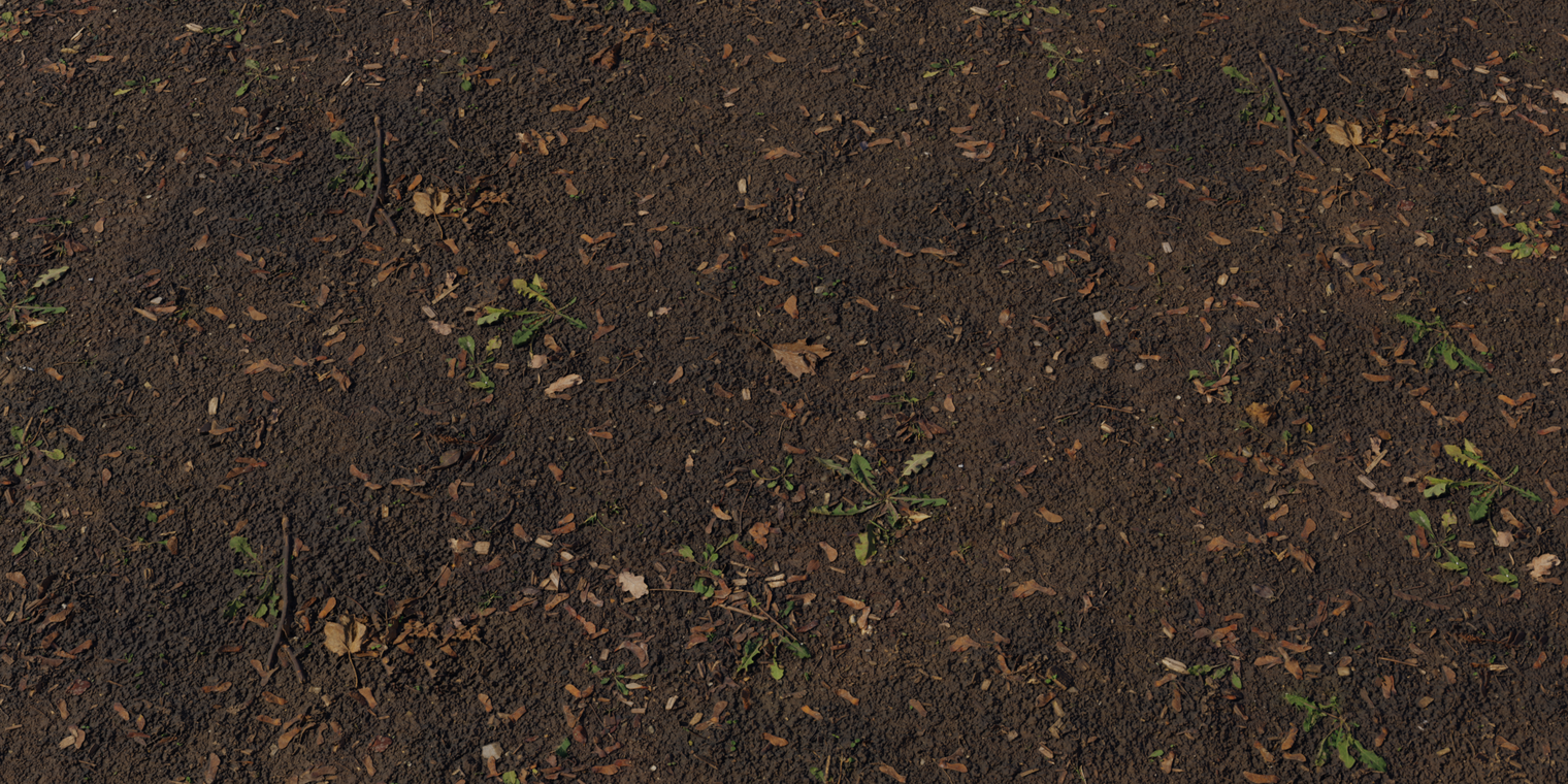 Mud Forest