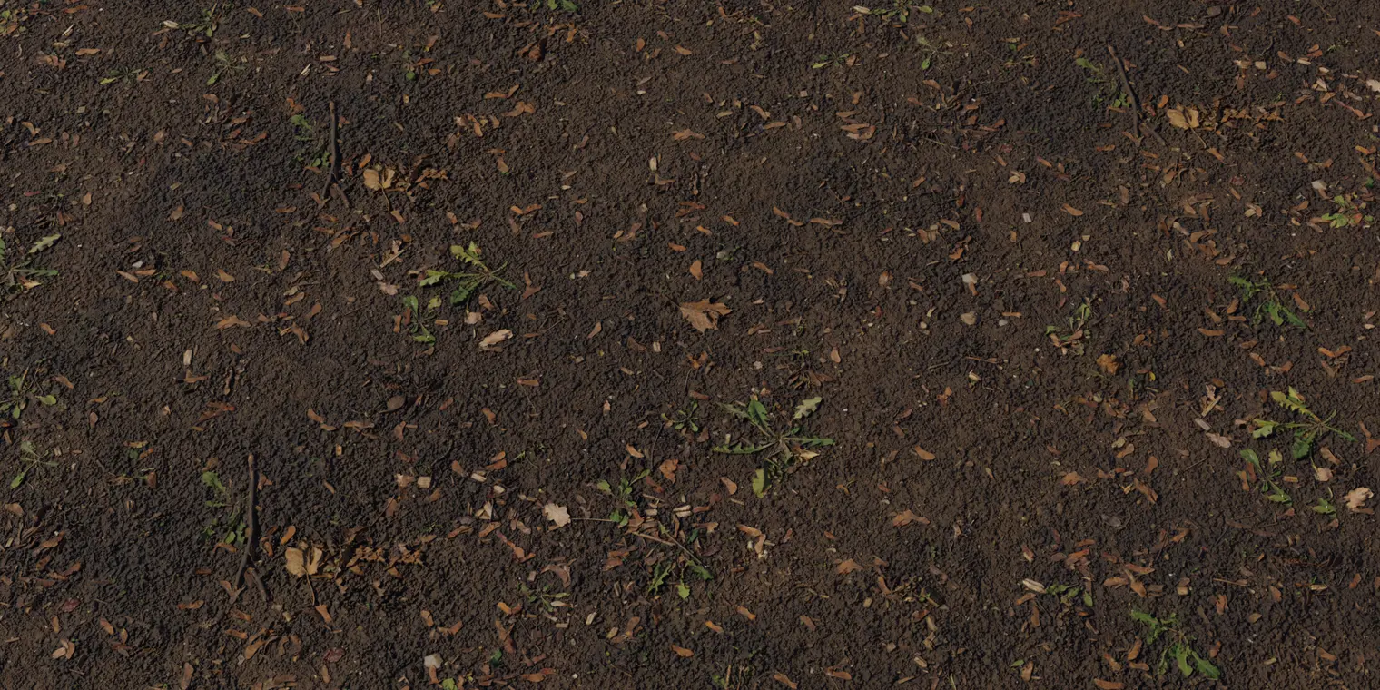 Mud Forest