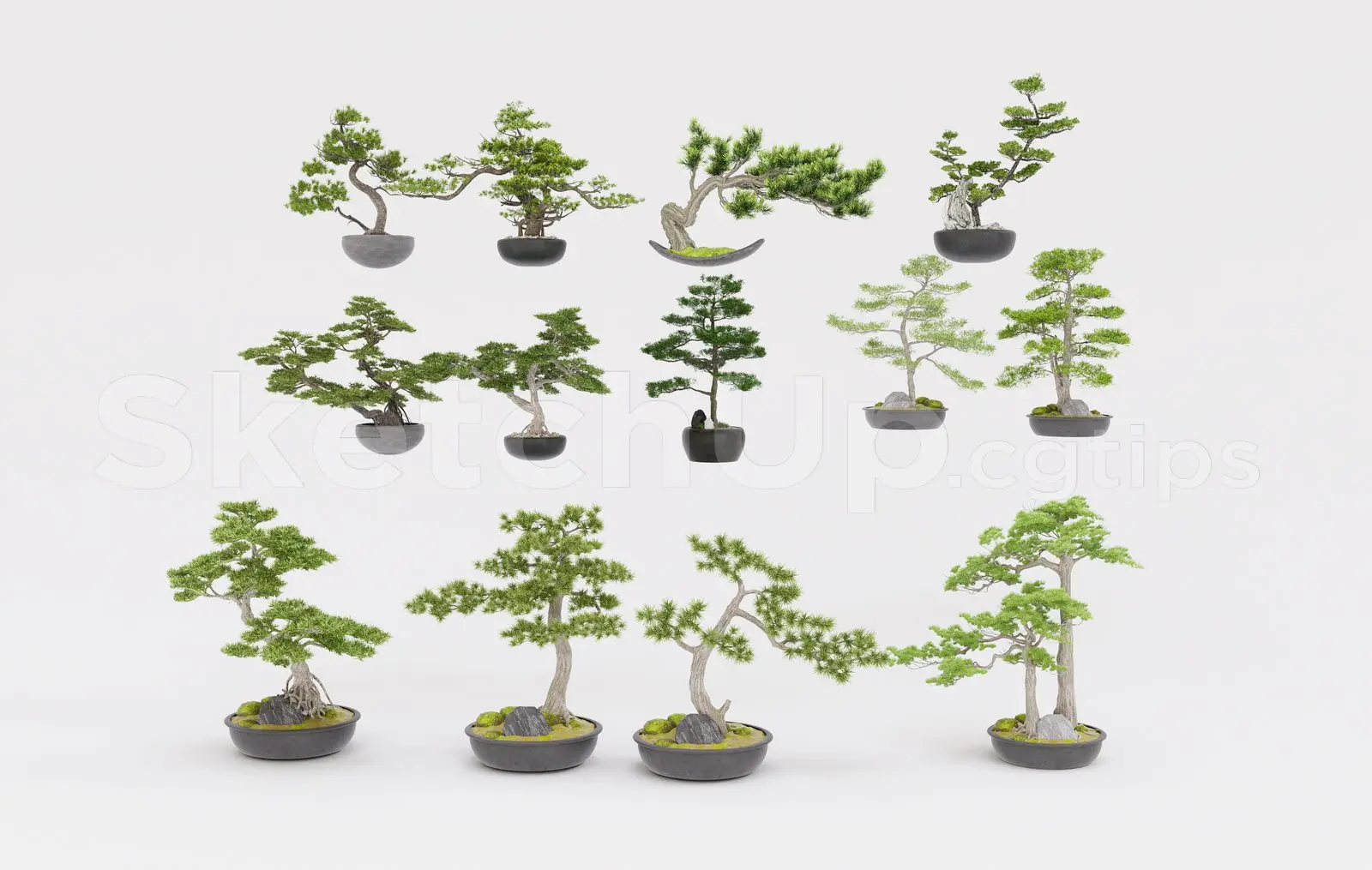 BonSai Tree — preview 1 (cgtips)