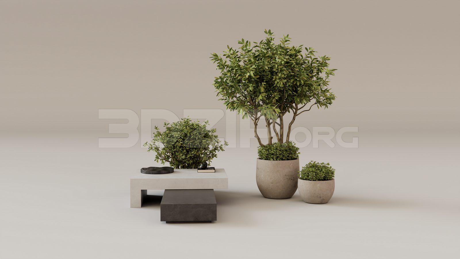 Tea Table
