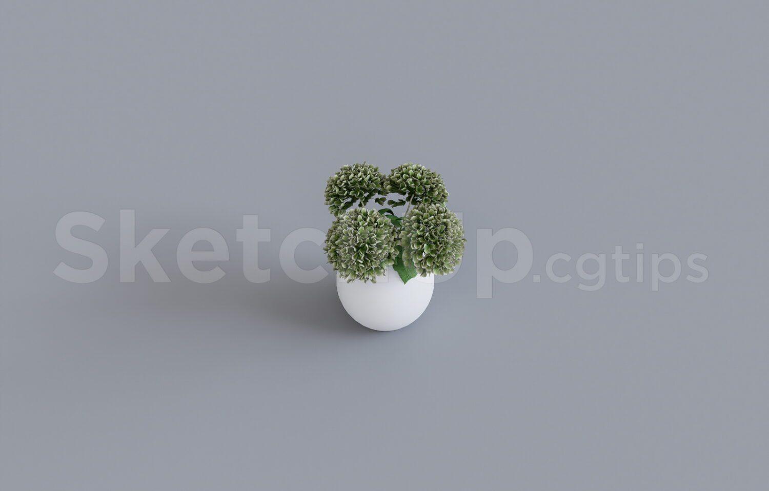 Plant