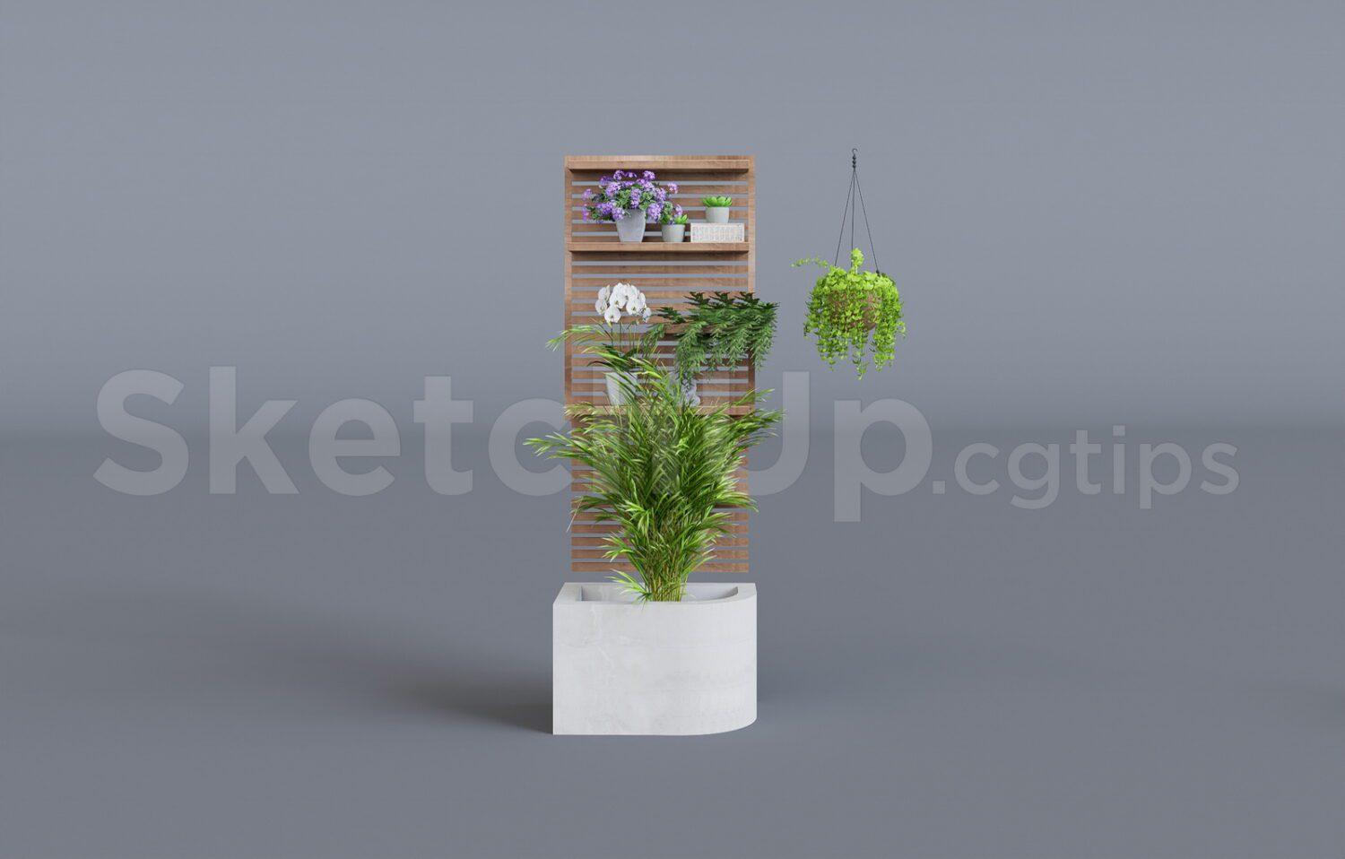 Plant