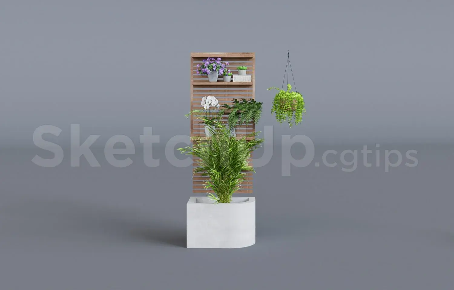 Plant